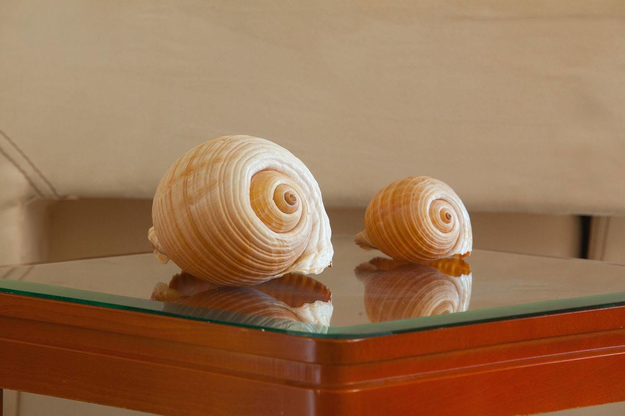 Pavlos Hotel Miasto Kos Zewnętrze zdjęcie